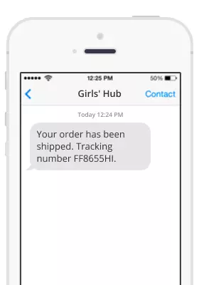 sms campaign example