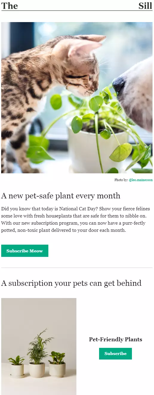 startup email example