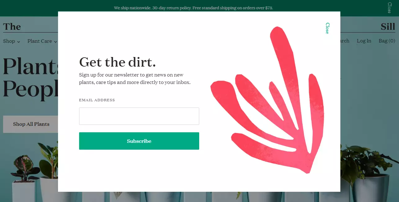 popup subscription form