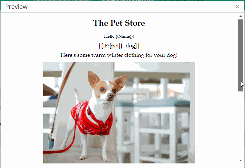 dynamiczny szablon e-mail dynamic email template