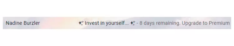 email preheader example