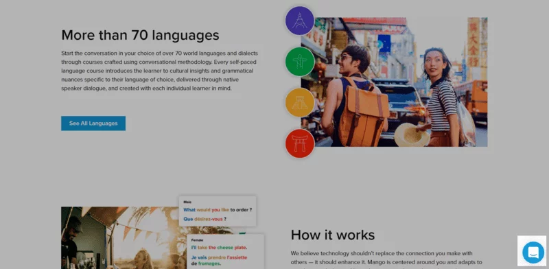 chatbox on a product landing page