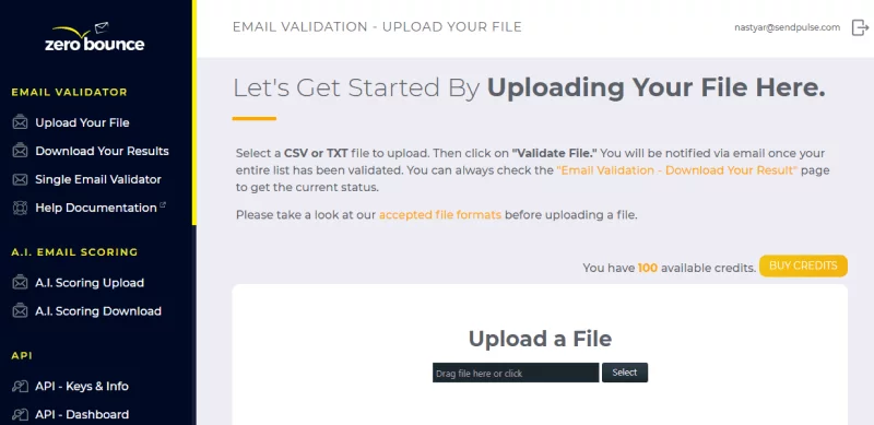 interfejs zerowego odbicia zero bounce interface