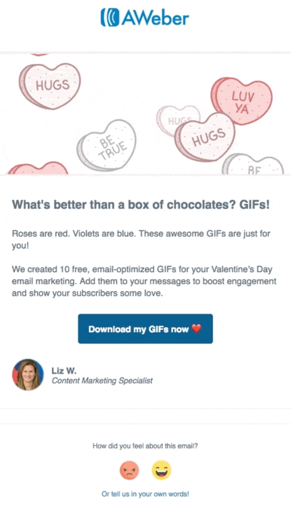 przykład ankiety e-mail w stopce footer email survey example