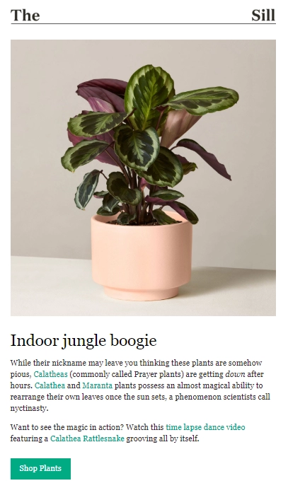 ตัวอย่างคำกระตุ้นการตัดสินใจทางอีเมล email call to action example