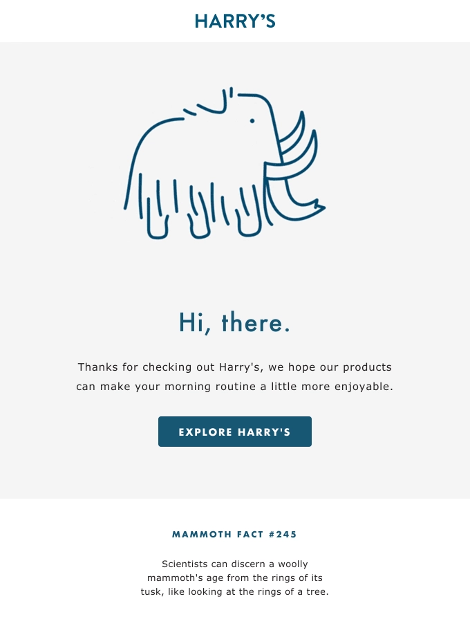 欢迎电子邮件示例 welcome email example