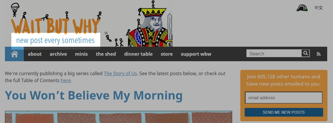 专家博客示例 expert blog example