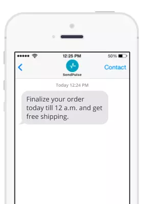 black friday sms campaign