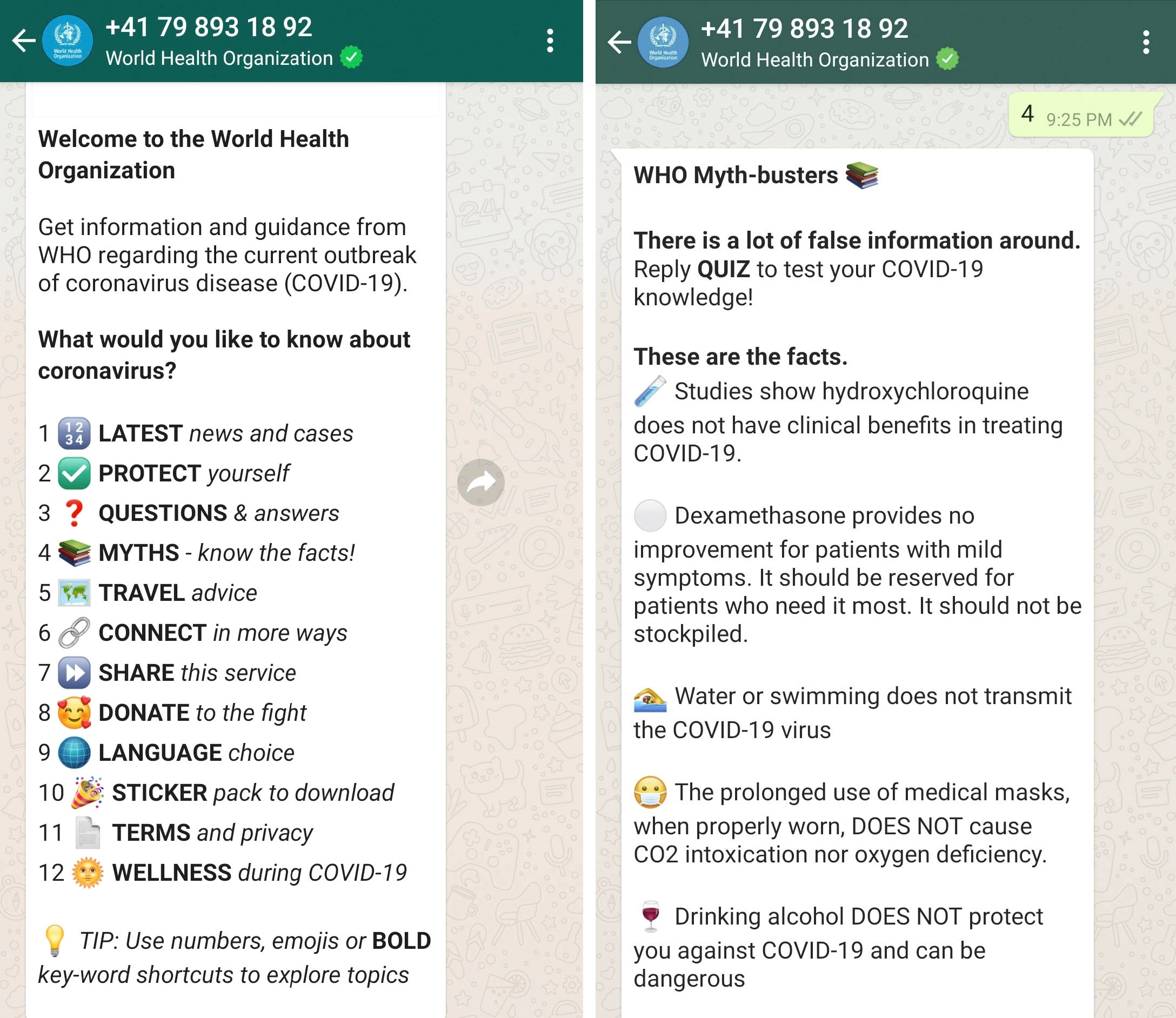 kto kampania WhatsApp? who whatsapp campaign